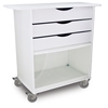 Extra Wide Storage Cart